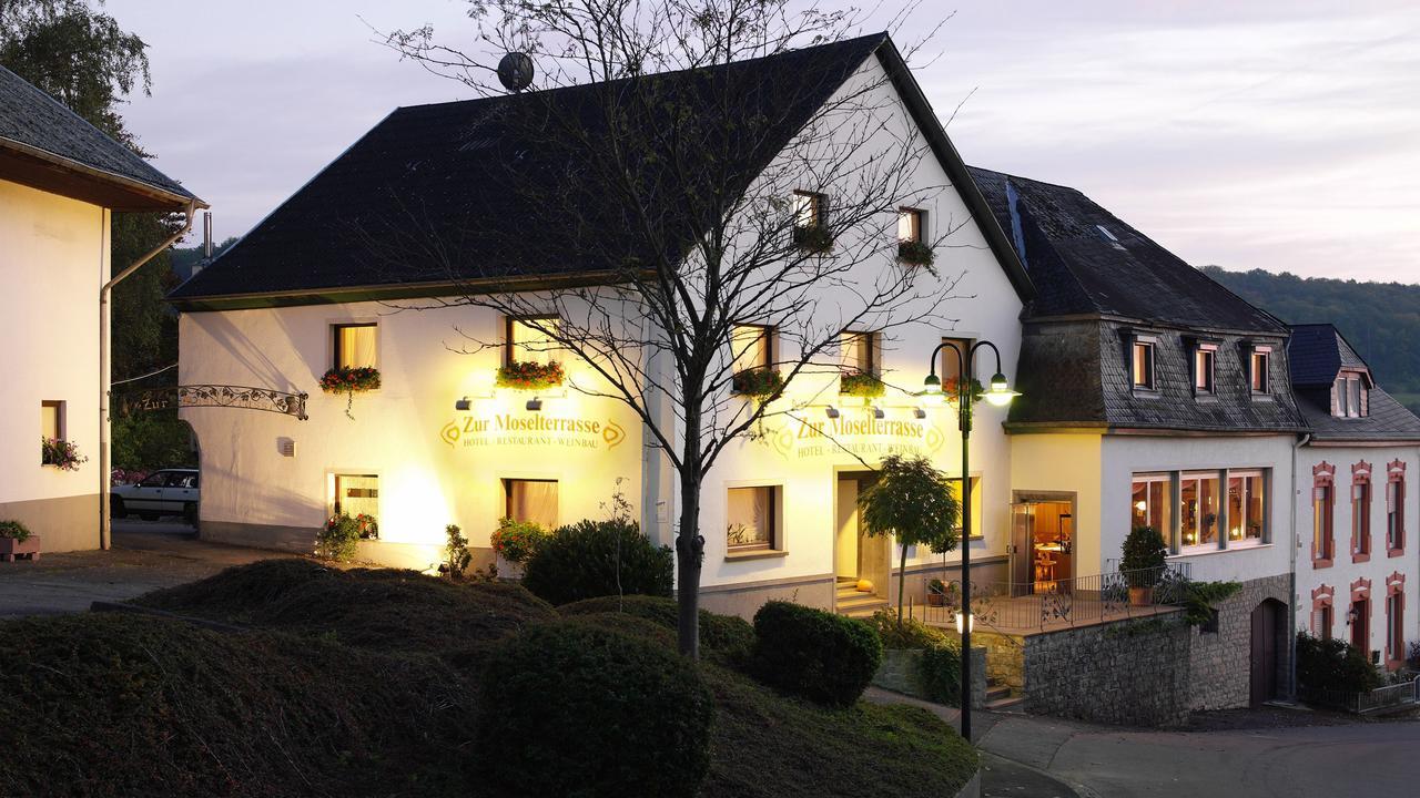 Hotel "Zur Moselterrasse" Palzem 외부 사진