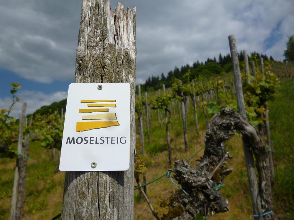 Hotel "Zur Moselterrasse" Palzem 외부 사진