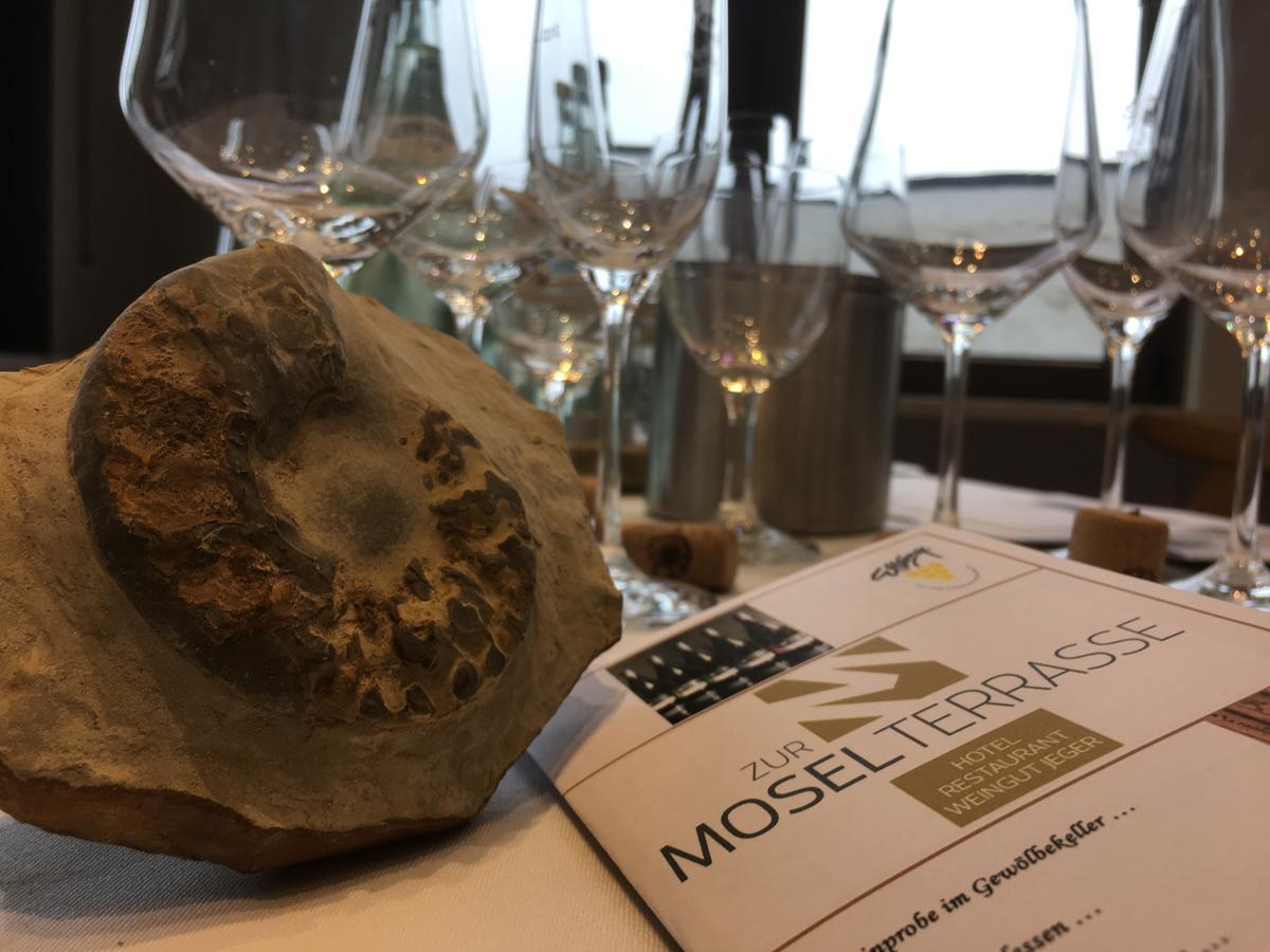Hotel "Zur Moselterrasse" Palzem 외부 사진